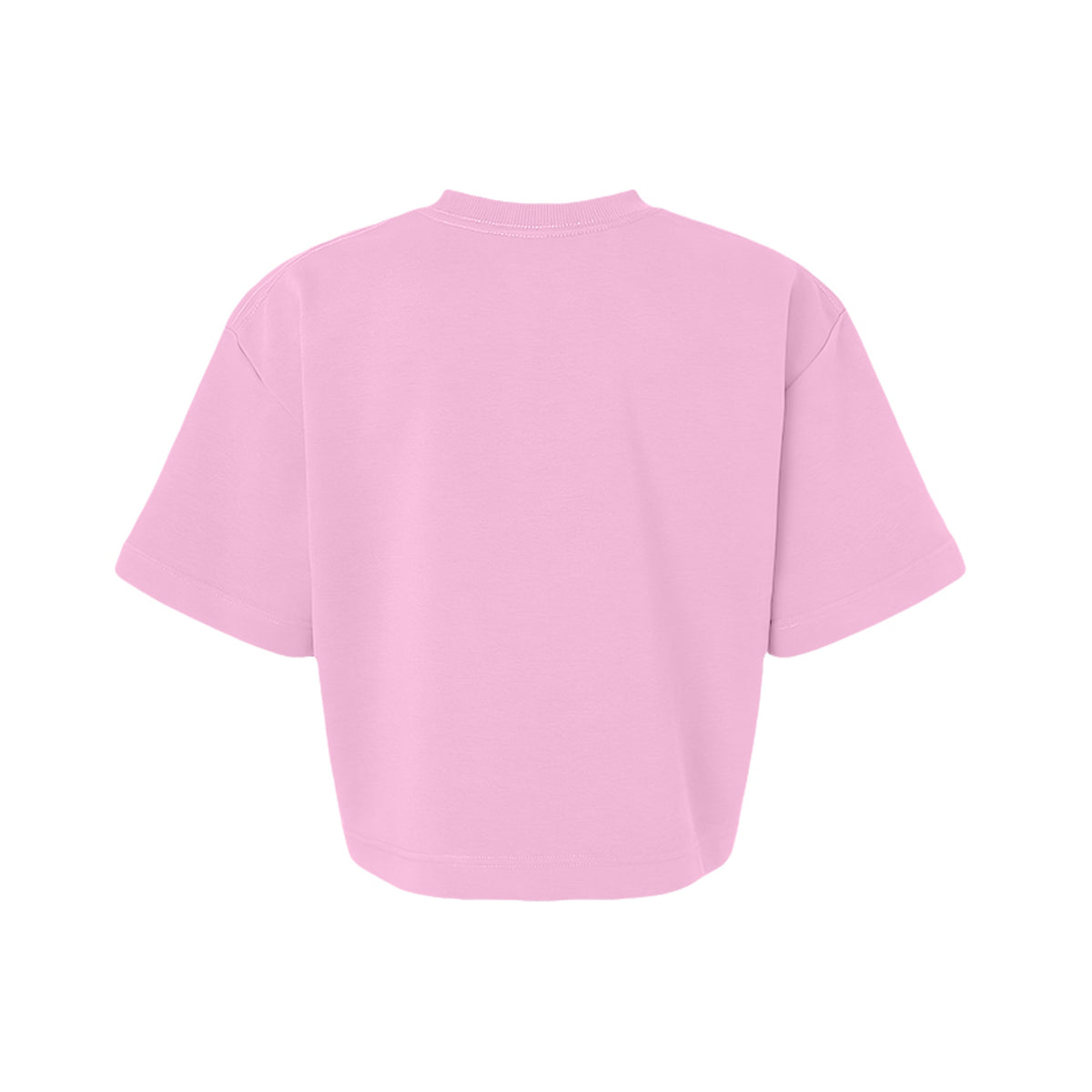 ndm:2204577